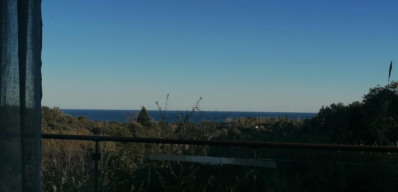 Villa Angelini Valle-di-Campoloro Eksteriør billede