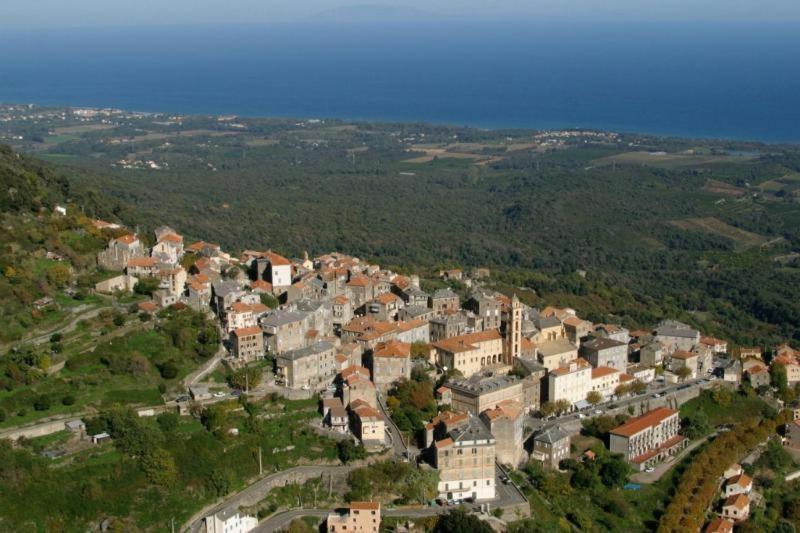 Villa Angelini Valle-di-Campoloro Eksteriør billede