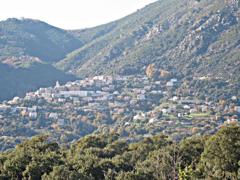 Villa Angelini Valle-di-Campoloro Eksteriør billede