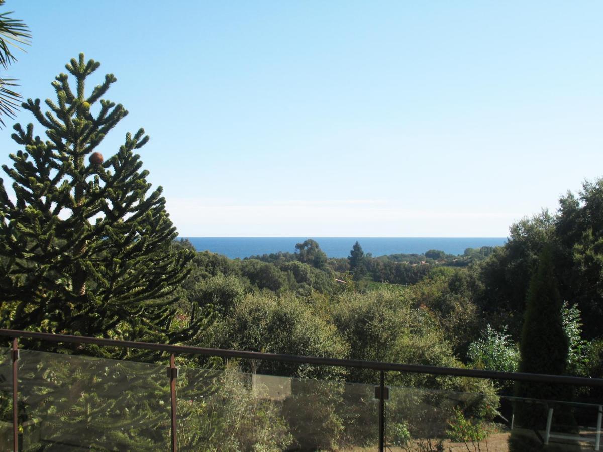 Villa Angelini Valle-di-Campoloro Eksteriør billede